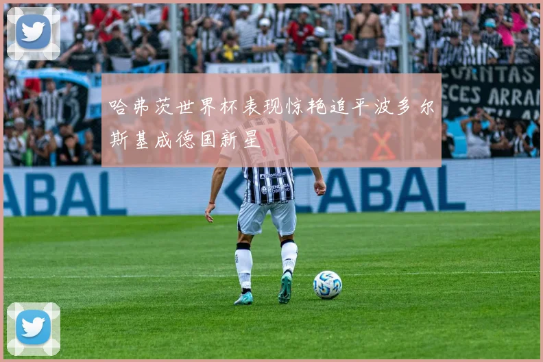 哈弗茨世界杯表现惊艳追平波多尔斯基成德国新星