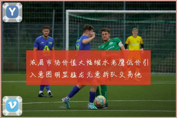 浓眉市场价值大幅缩水老鹰低价引入意图明显猛龙无意拆队交易他