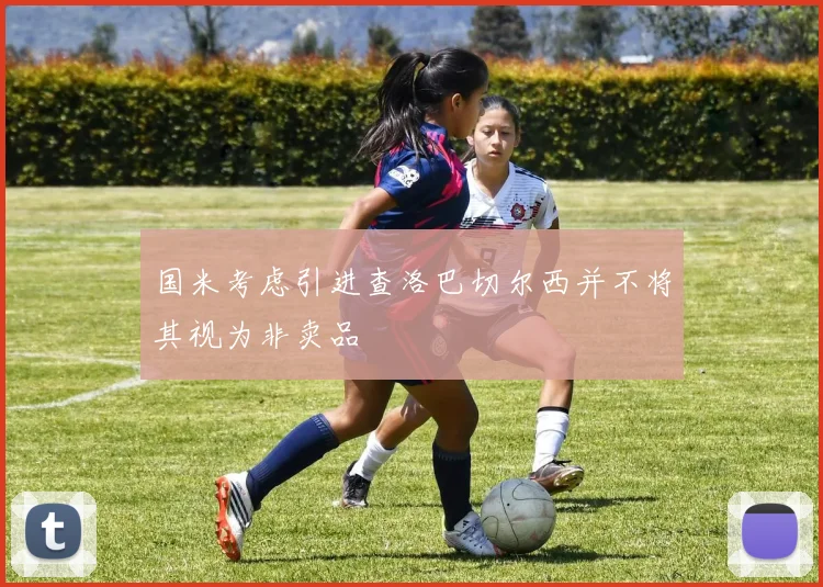 国米考虑引进查洛巴切尔西并不将其视为非卖品